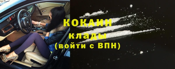 индика Армянск