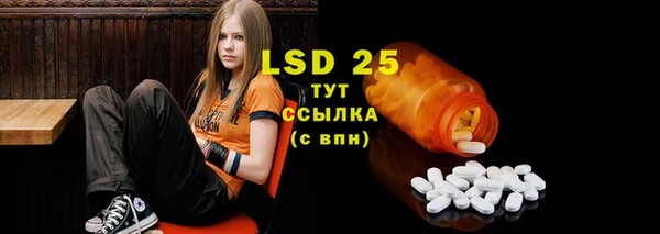 индика Армянск
