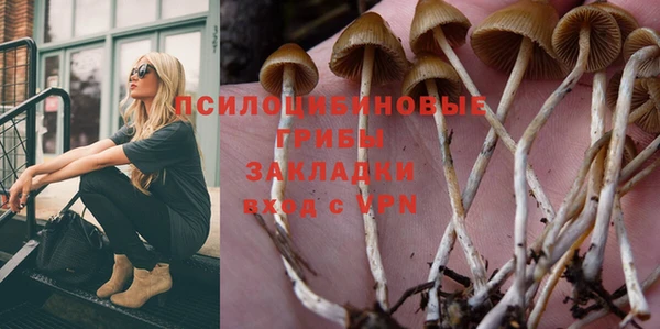 каннабис Аркадак