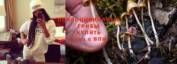 первитин Арсеньев