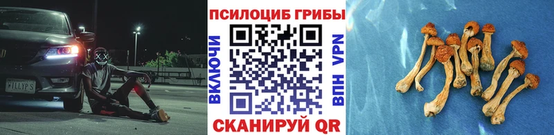 Псилоцибиновые грибы Psilocybe  купить   shop какой сайт  Лодейное Поле 